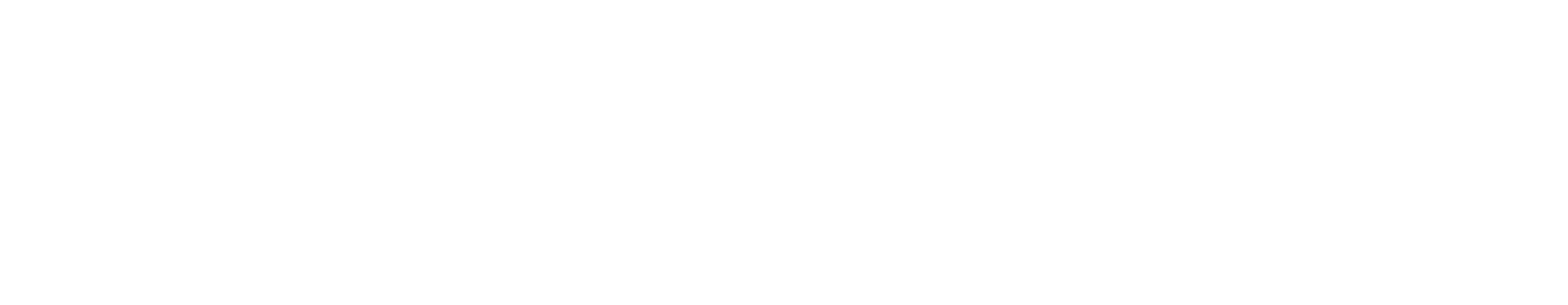 FunnelFlix logo